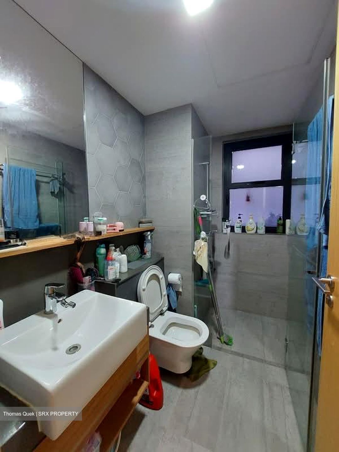 The Navian (D17), Apartment #578663761